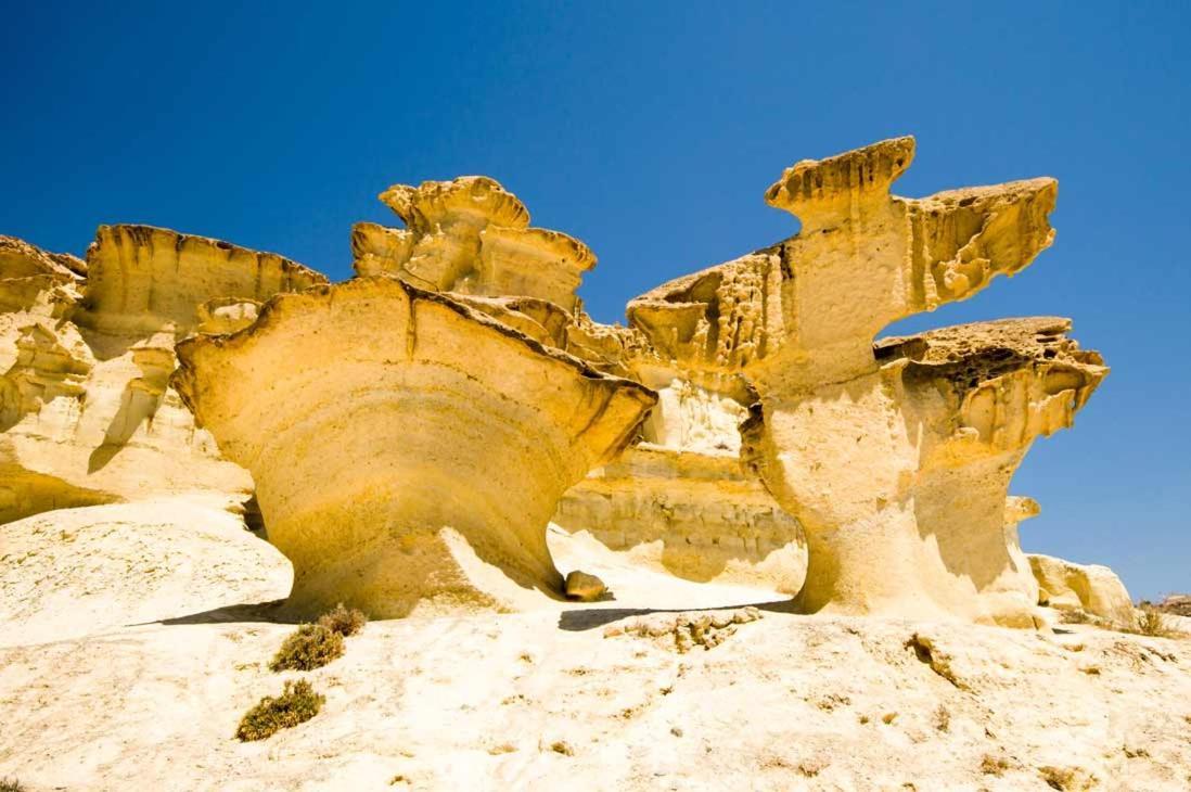 ماثارّون Goji'S Home المظهر الخارجي الصورة